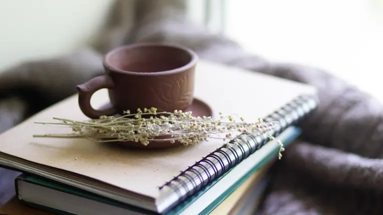 Notebook, cup en medicinal plants on a table