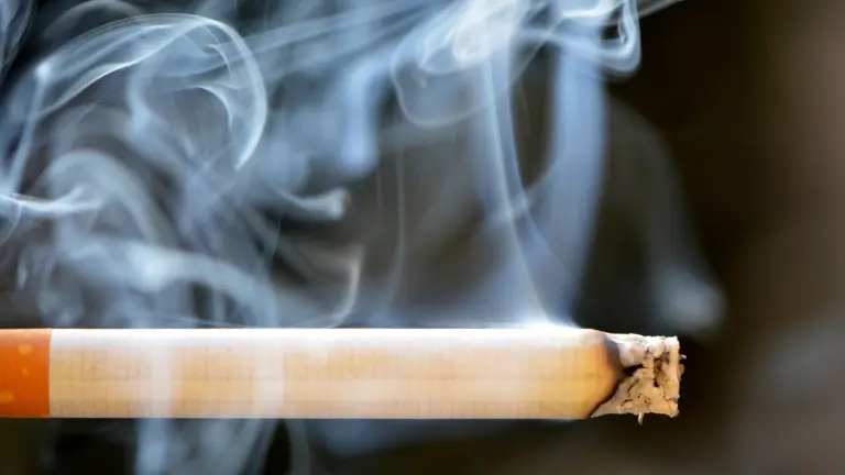 Lit cigarette with tobacco smoke