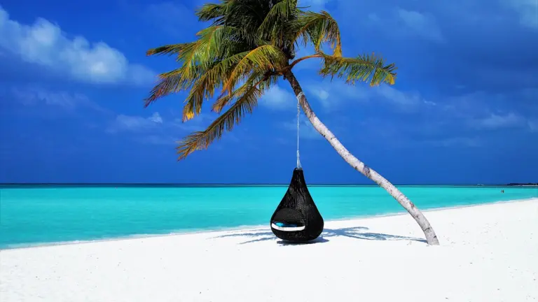 Paradise beach with palm tree and turquoise sea