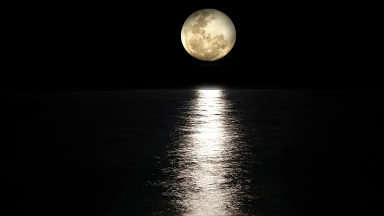 Full moon reflecting on the sea at night