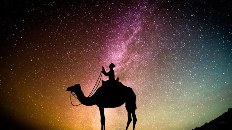 Traveler with camel under starry sky