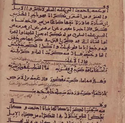 History and evolution of the Arabic language