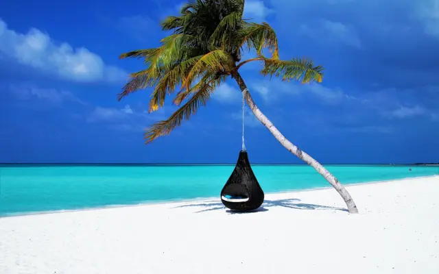 Paradiesischer Strand mit Palme und türkisfarbenem Meer