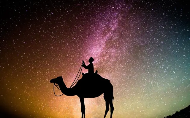 Traveler with camel under starry sky