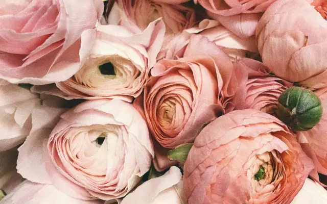 Bukett med rosa blomster til et islamsk bryllup