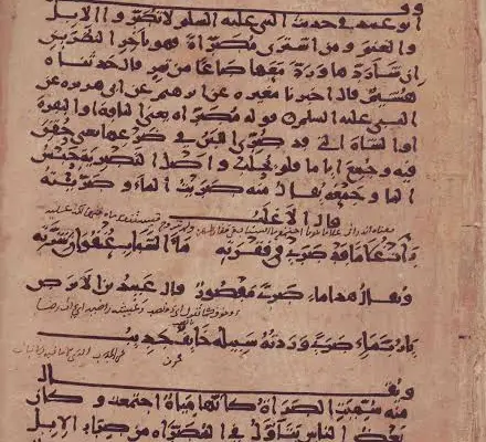 History and evolution of the Arabic language