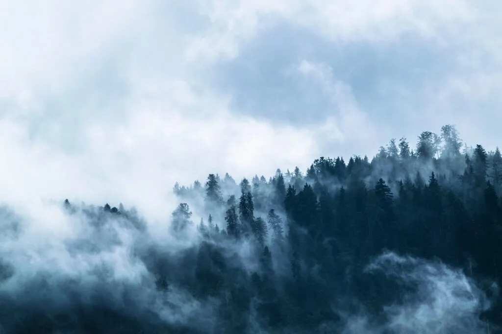 Protection Against Djinns in Islam: Invocation and Significance