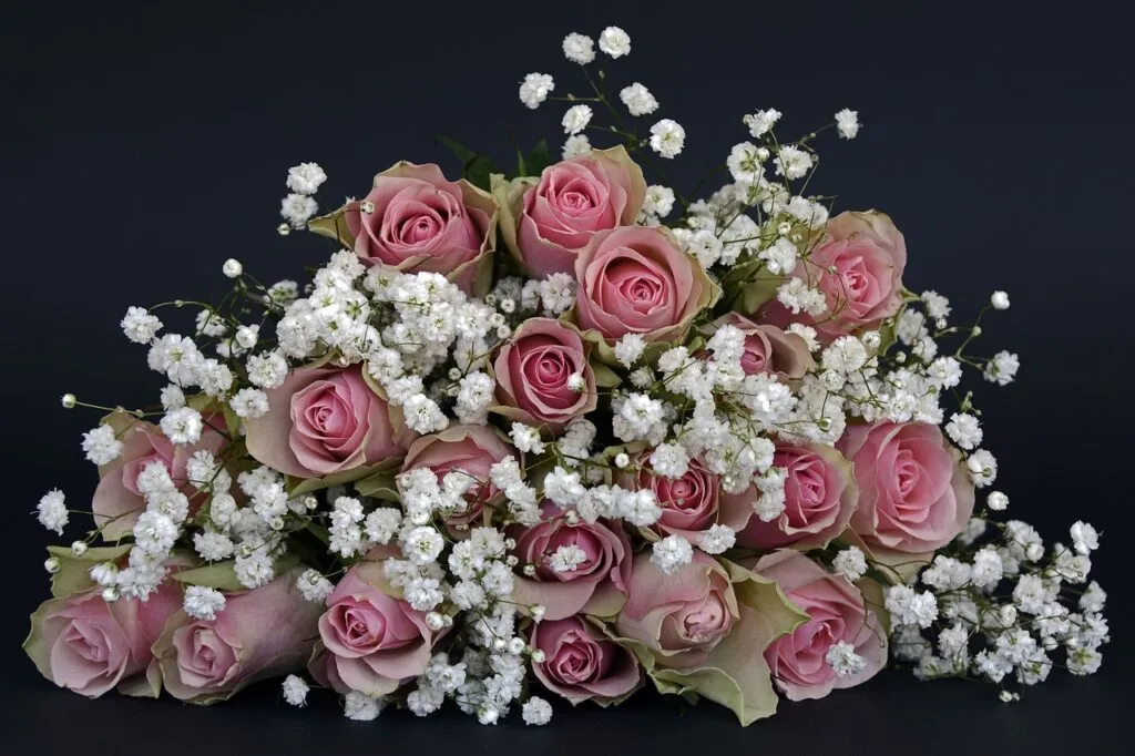 How to Treat Your Wife: Understanding Marital Harmony in Islam