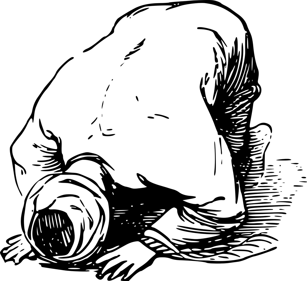 Muslim prostrating illustrating missed prayers