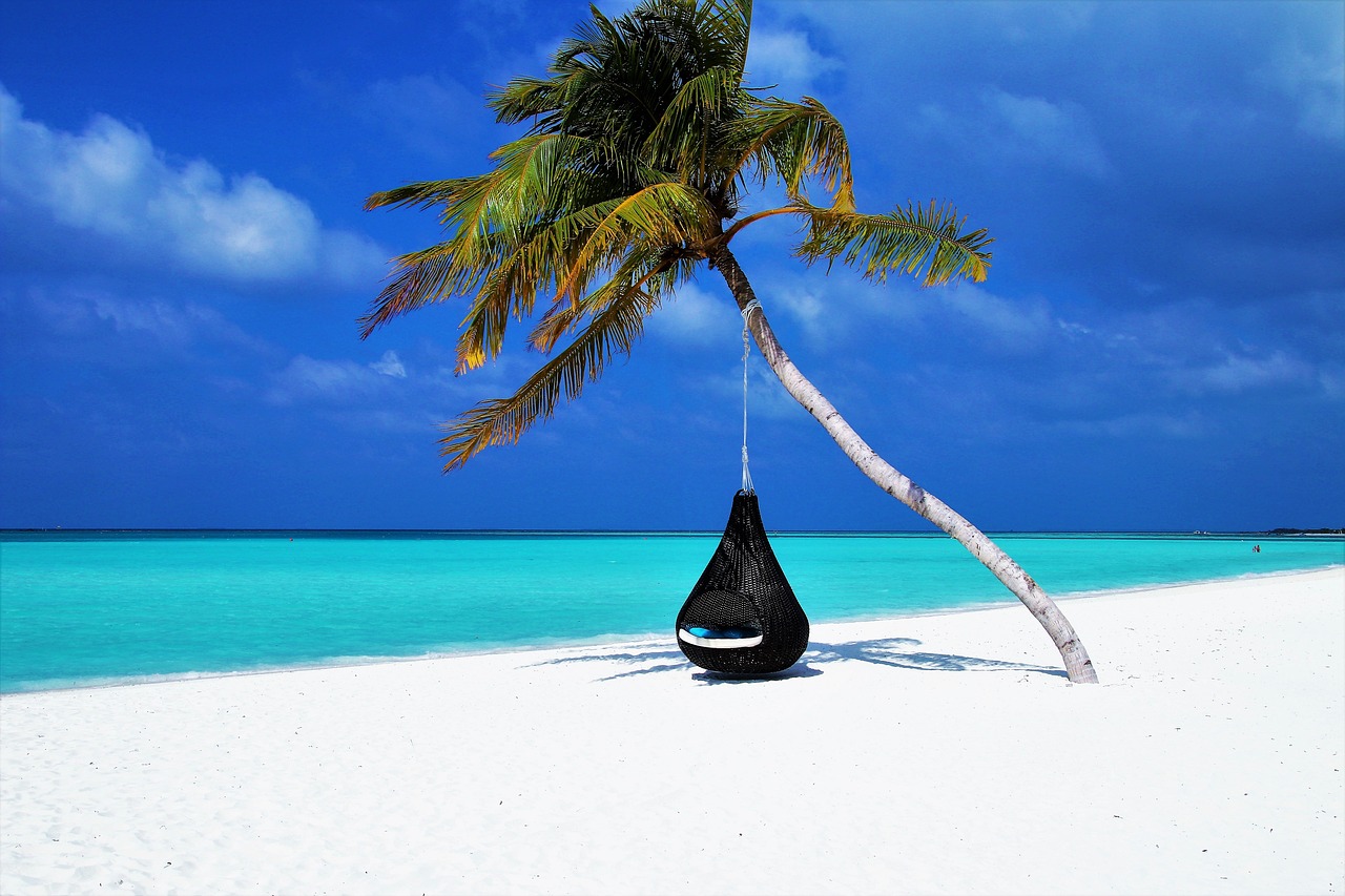Plage paradisiaque avec palmier et mer turquoise