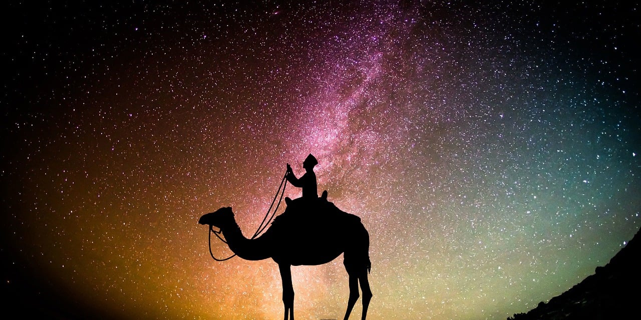 Traveler with camel under starry sky