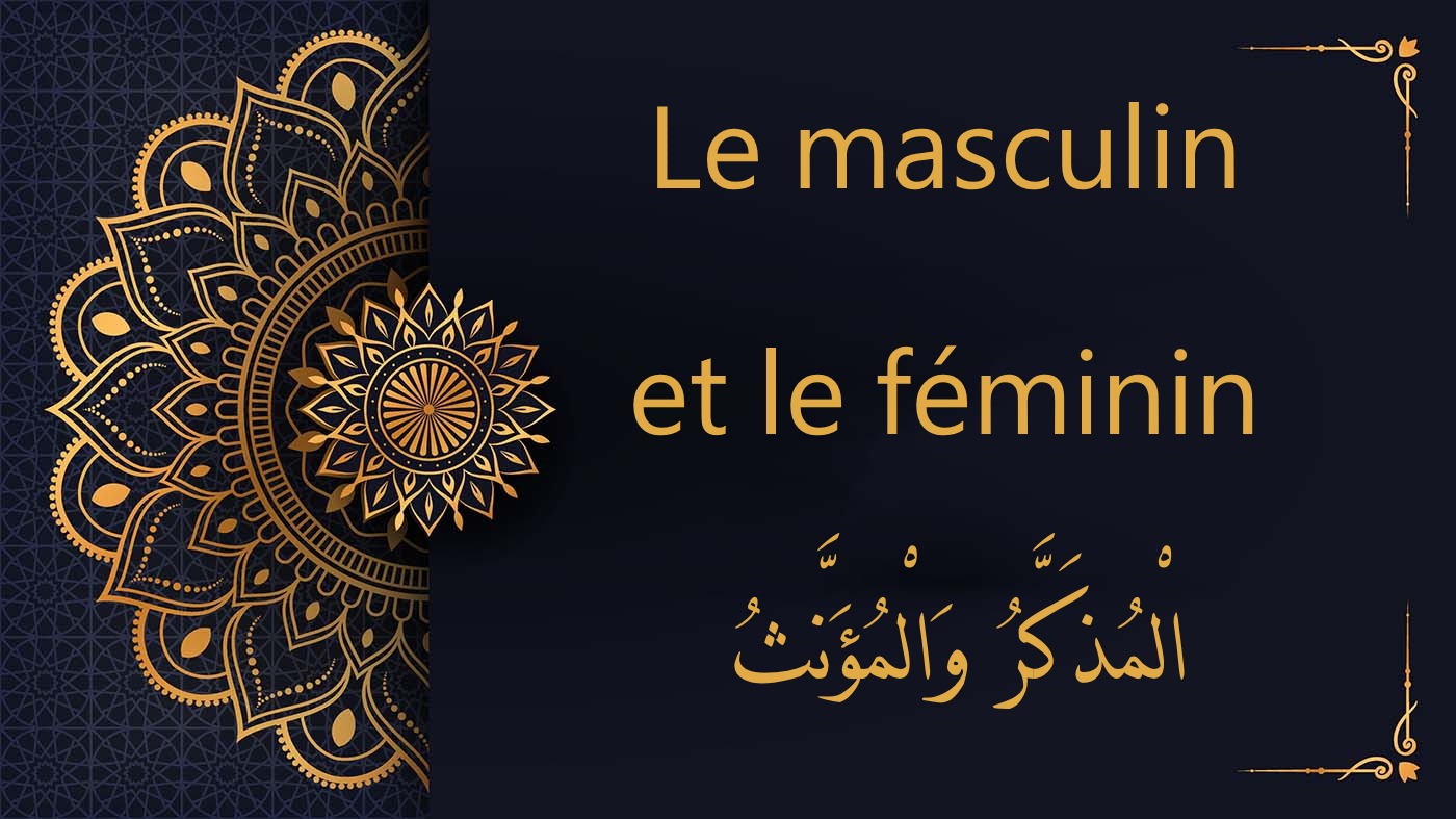 Masculin et féminin - الْمُذَكَّرُ وَالْمُؤَنَّثُ| cours d’arabe gratuit | leçon 7