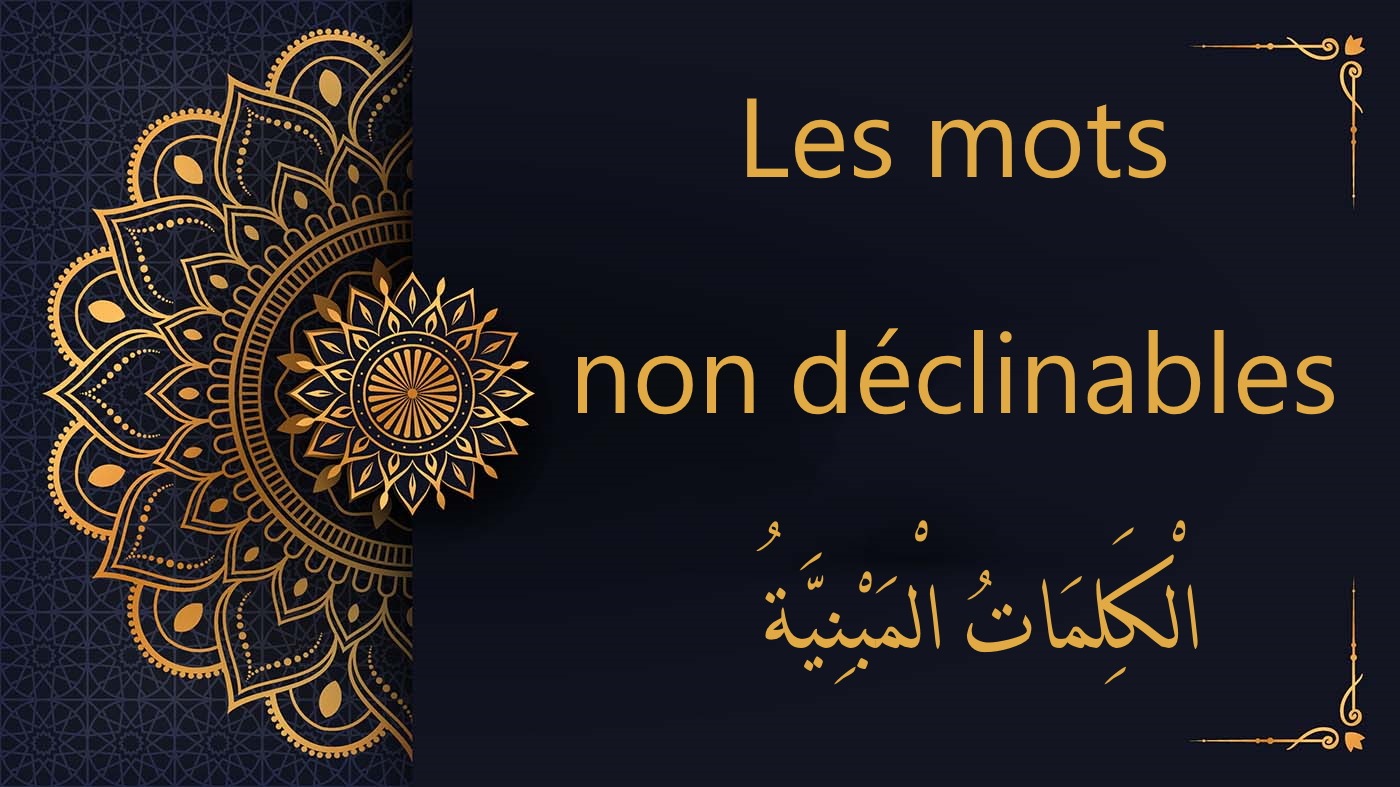 Les mots non déclinables en arabe | cours d’arabe gratuit | leçon 11
