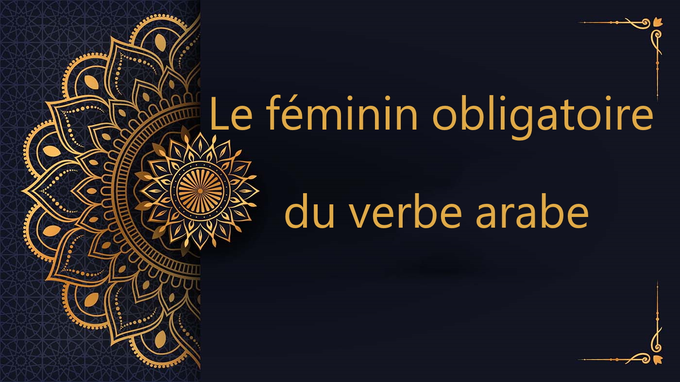 Le féminin obligatoire du verbe arabe | cours d’arabe gratuit | leçon 76