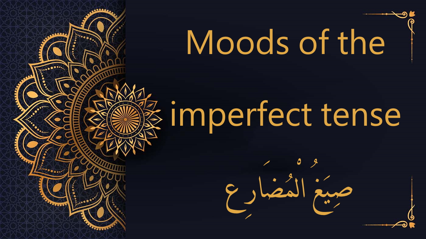 Moods of the imperfect tense in Arabic - صِيَغُ الْمُضَارِع | Arabic Free Course