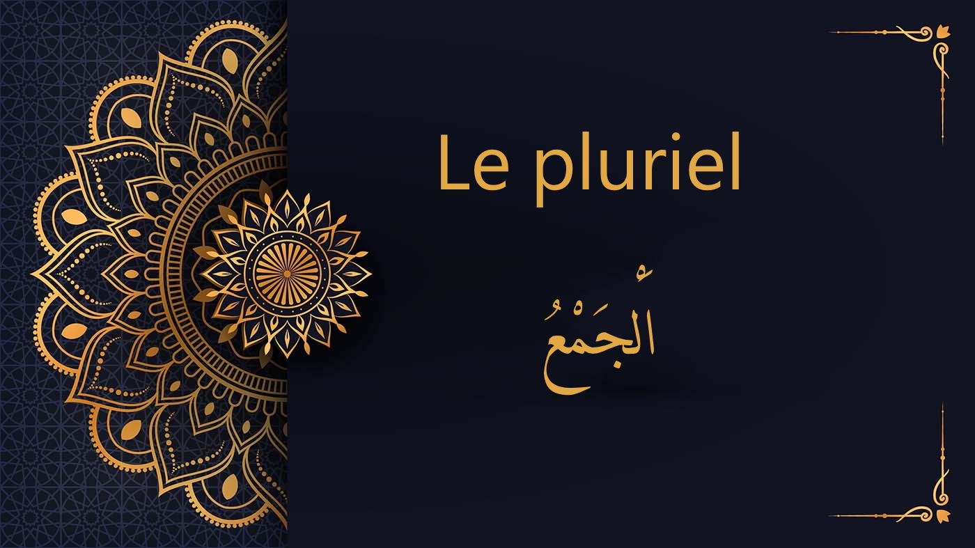Le pluriel en arabe |  الْجَمْعُ