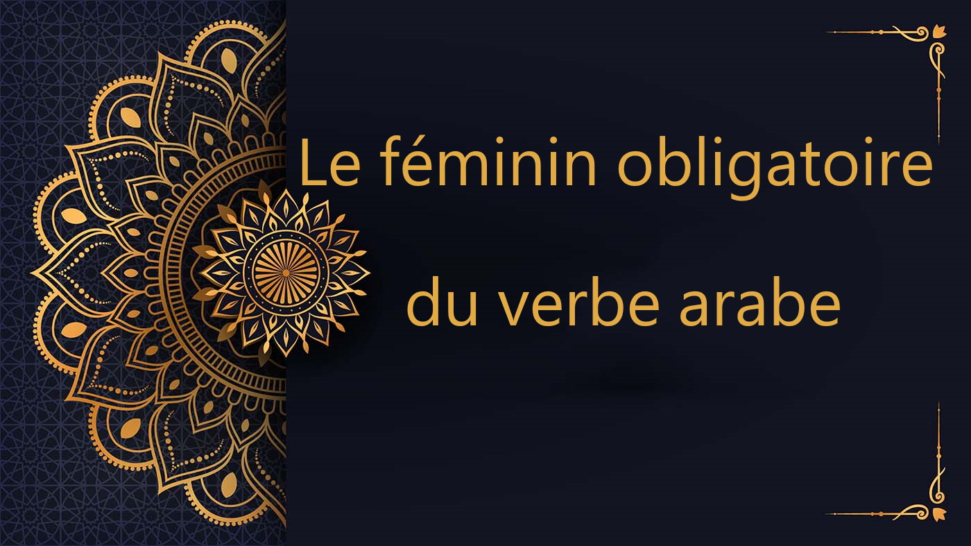 Le féminin obligatoire du verbe arabe - cours d'arabe gratuit