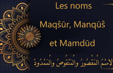 Maqŝūr, Manqūŝ et Mamdūd - cours d'arabe gratuit