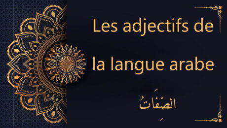 Les adjectifs de la langue arabe | الصِّفَاتُ