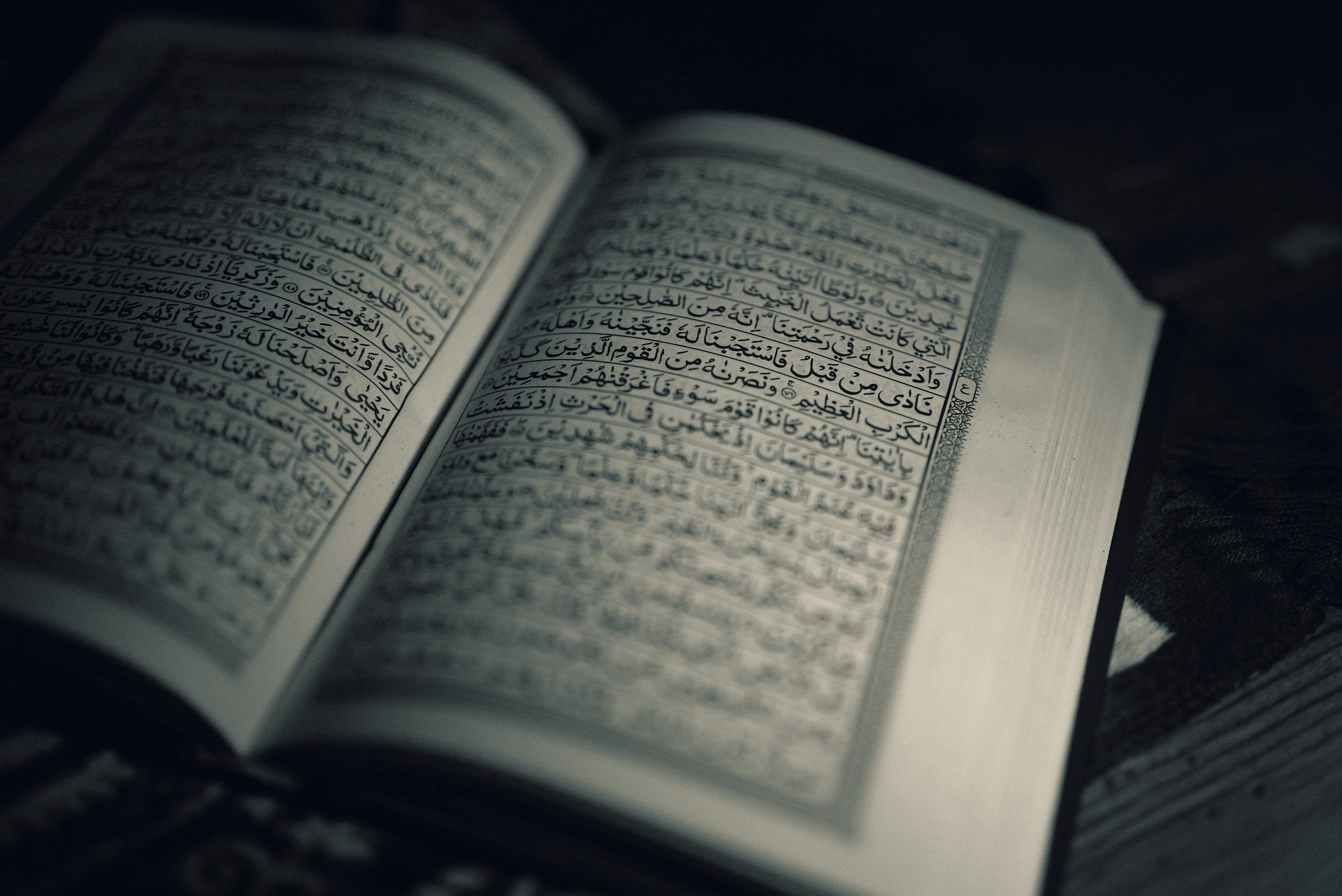 Etudier le Coran